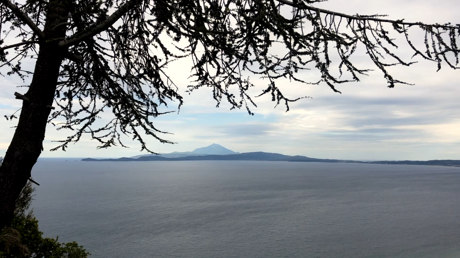 Screen Shot 2022-11-03 at 20.04.18